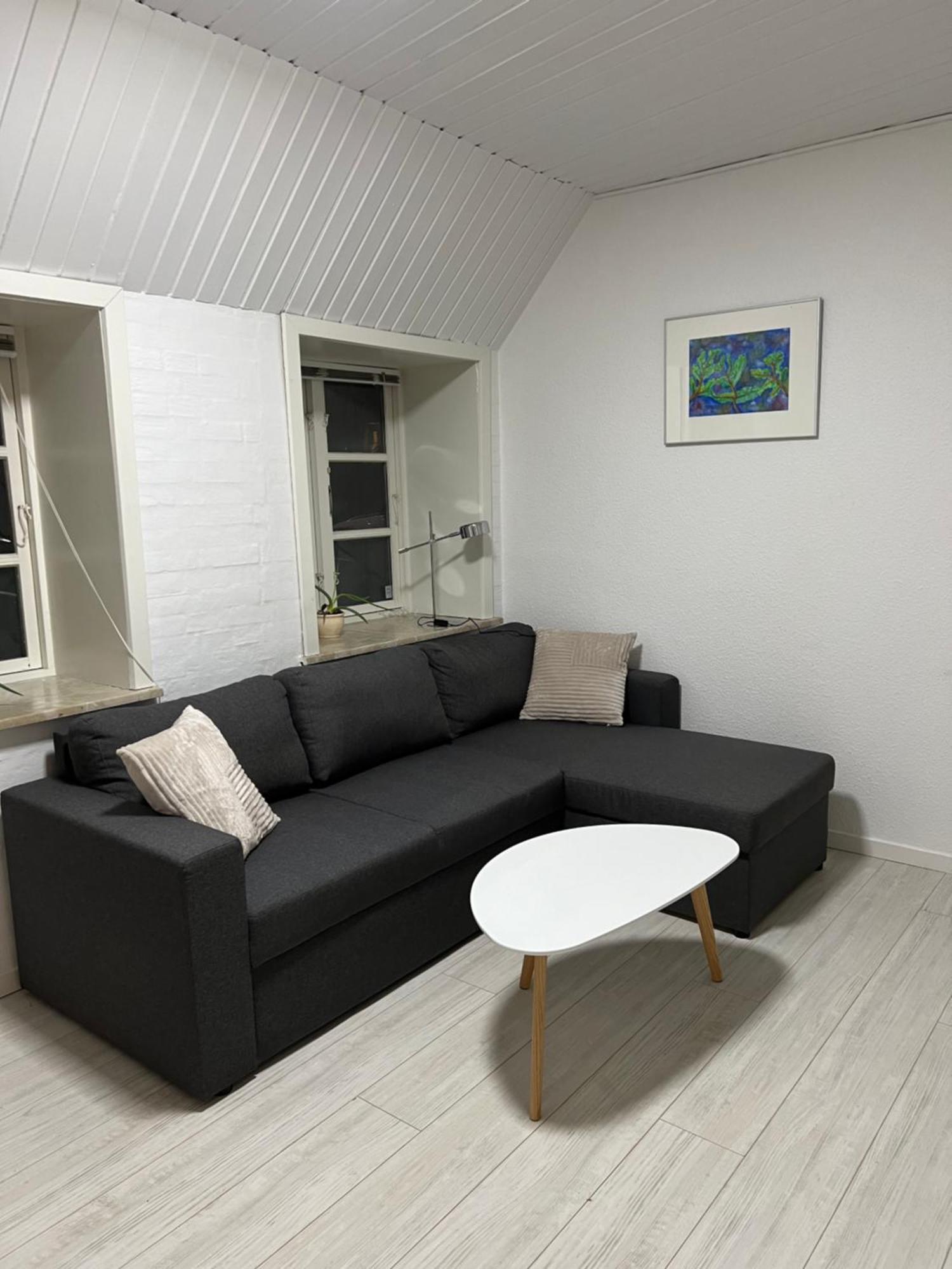 Apartment With Wifi, Close To City Center, Beach And Forrest Aabenraa Eksteriør bilde